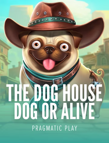 the dog house